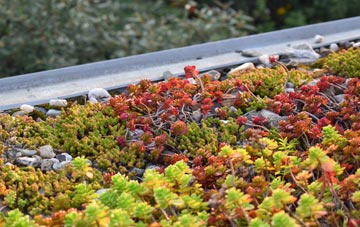 the cost of Shackerstone green roof installation